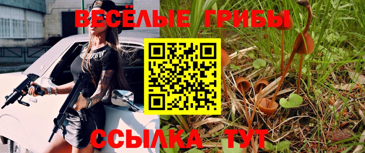 Псилоцибиновые грибы Magic Shrooms  Вход с VPN  Сергиев Посад 