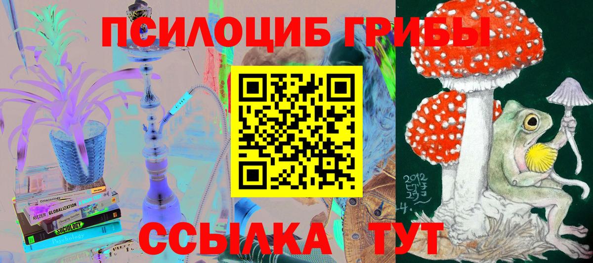 Галлюциногенные грибы Psilocybine cubensis Сергиев Посад